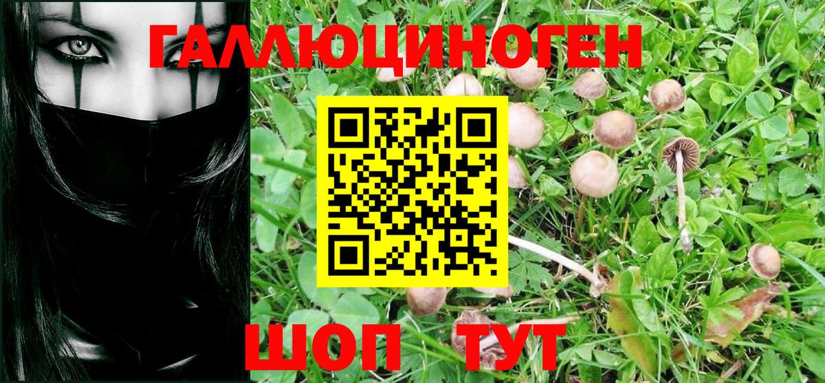 Псилоцибиновые грибы ЛСД Реж